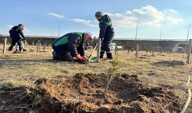 KAYSERİDE 3 BİN 200 FİDAN TOPRAKLA KAVUŞTU