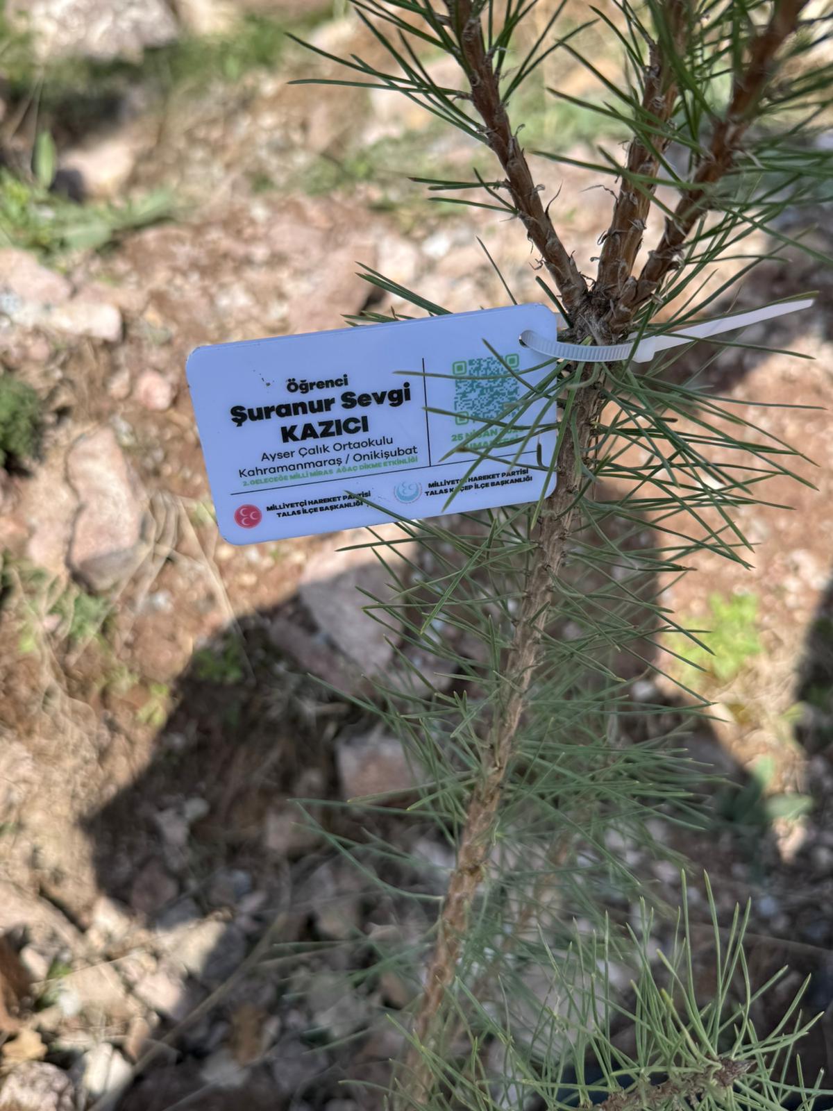 ALİ DAĞI’NDA HÜZÜNLÜ VEDA, EBEDİ VEFA: 9 CANIN ADI FİDANLARLA GÖĞE YÜKSELİYOR!