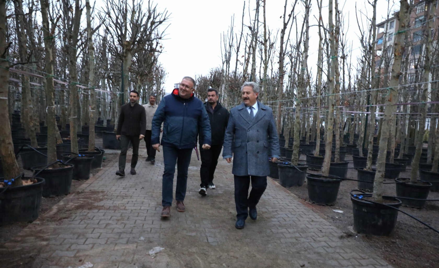 MELİKGAZİ BELEDİYESİ, YENİ AĞAÇLARLA İLÇENİN GELECEĞİNE NEFES OLMAYA DEVAM EDİYOR