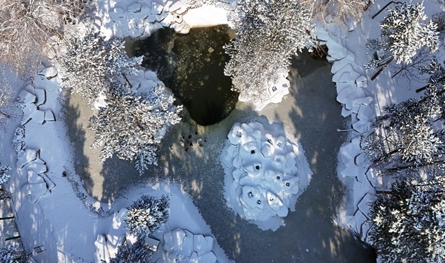 KAYSERİ -14LE BUZ KESTİ