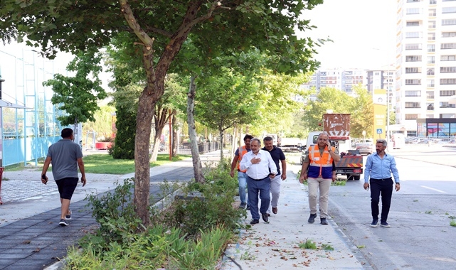 BELEDİYE MAHALLEMİZDE UYGULAMASI DEVAM EDİYOR
