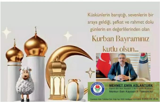 Oy pusulası 